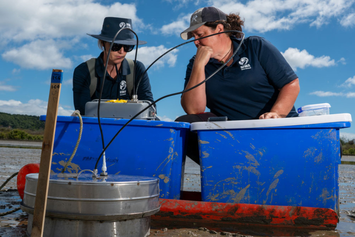 Emily Douglas and Sarah Hailes take gas measurements from the sediment in Waihi estuary.