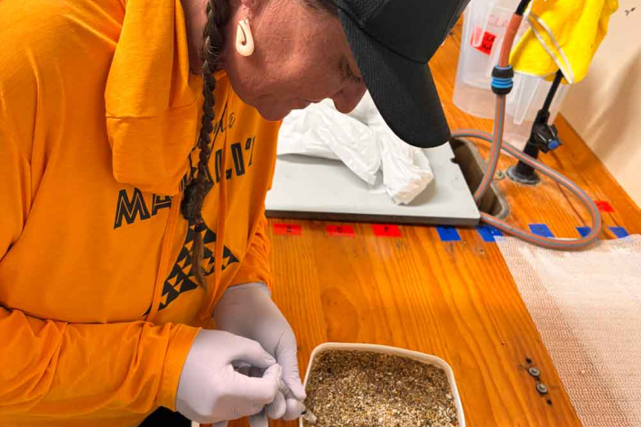 Te Kūwaha Summer Intern Fleur Passau