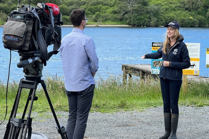 One News filmed an invasive gold clam story after seeing the media release and video. This will run over the Christmas break. 