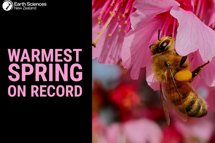 Spring 2025 Climate Summary tile