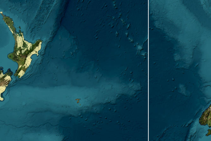 Te Toro app screengrab