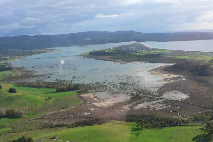 Groundwater and flooding implications for coastal dairy farms banner