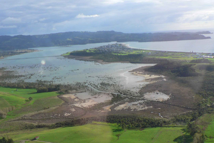 Groundwater and flooding implications for coastal dairy farms banner