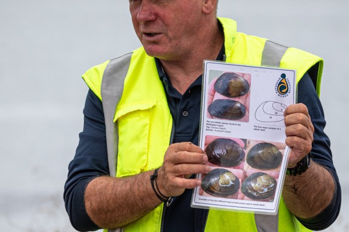 Volunteers in the Wairarapa Moana Kākahi Count were led by Earth Sciences NZ ecologist Mark Fenwick