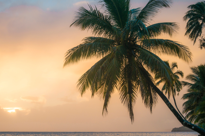 Fiji