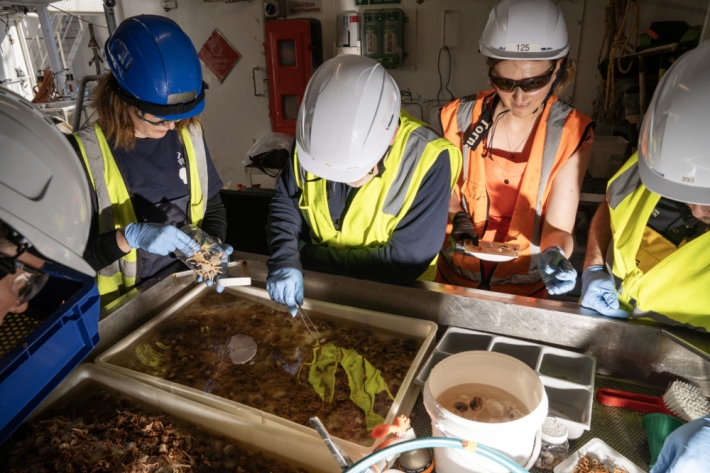 Researchers sorting a specimens onboard after a successful gear deployment
