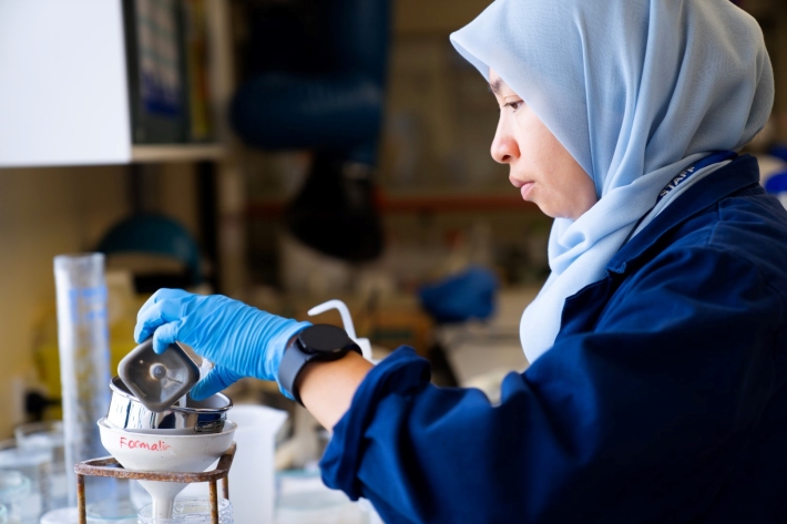A lot of work goes into getting the specimens sorted and ready for analysis