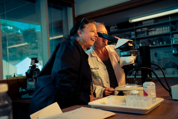 Specialist taxonomists then take the samples to determine if this a known or undescribed species. 