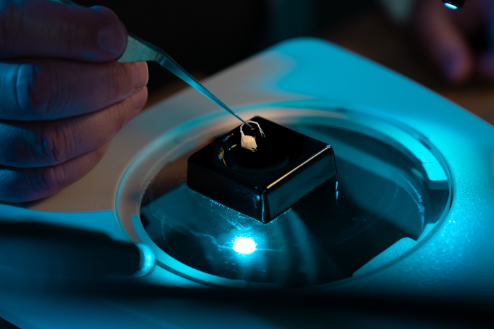 This often invovles the use of microscopes