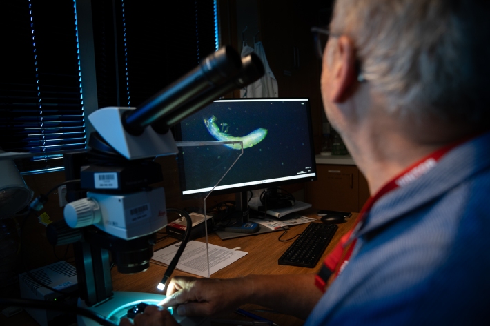 Taxonomists typically focus on specific species, so lots of experts are needed, both within NIWA and with connections across the world