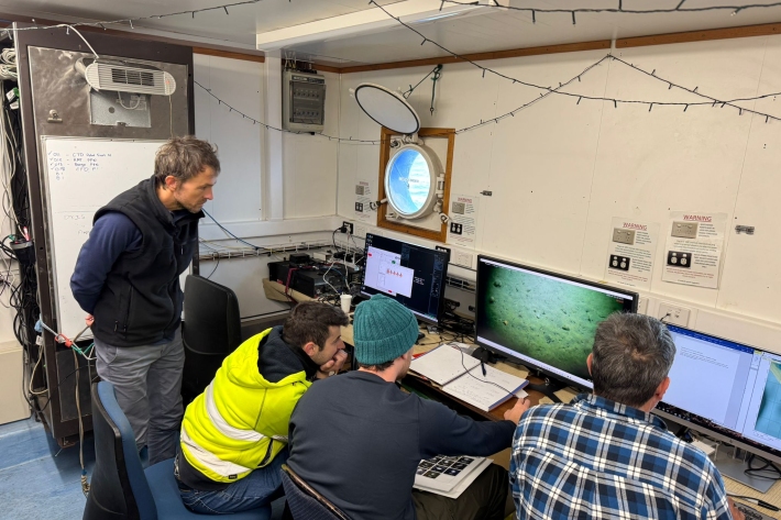 First time reviewing DTIS footage by the expert taxonomists