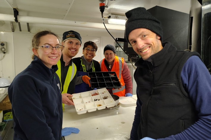 Late night sorting team assists Svenja