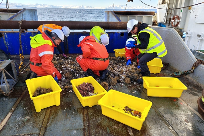 Benthic team examine the latest specimens 