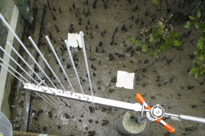 Surface-Elevation Tables are in the Firth of Thames