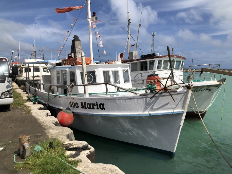 Tongan deepwater line fishery vessels