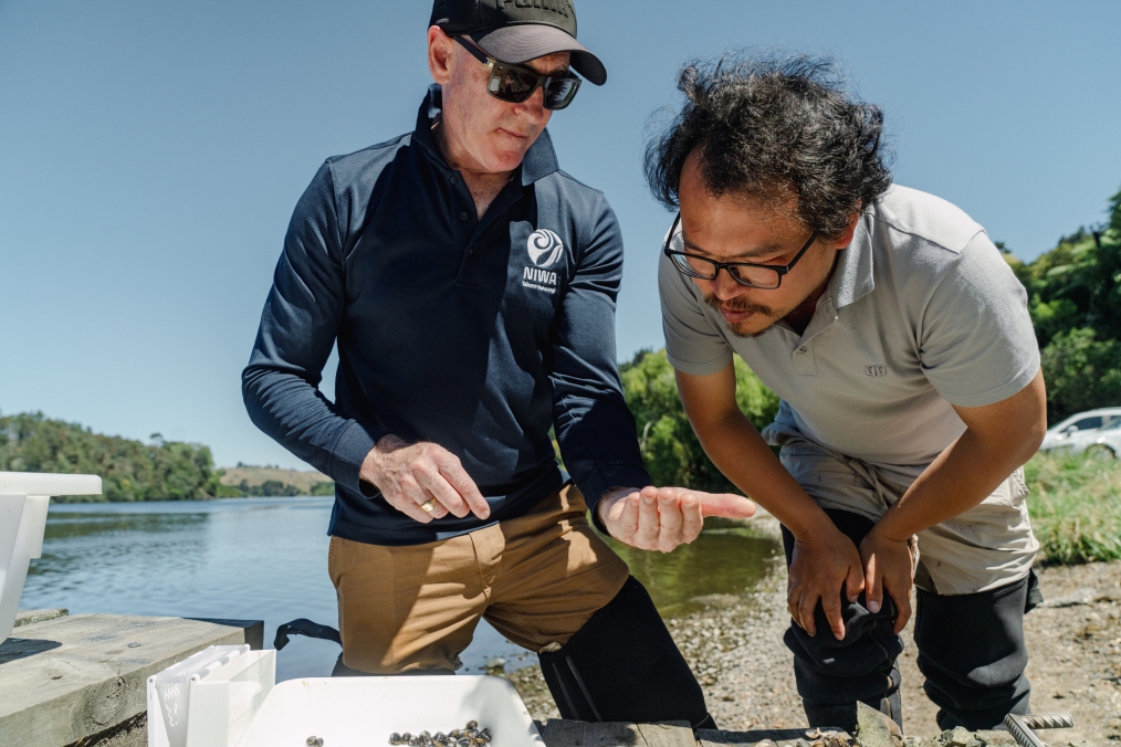 nternational collaboration - Brian Smith (NIWA) and Dr Yu Cao (Wuhan Botanic Gardens, Chinese Academy of Science) examining the clams at the lakeside clam hui