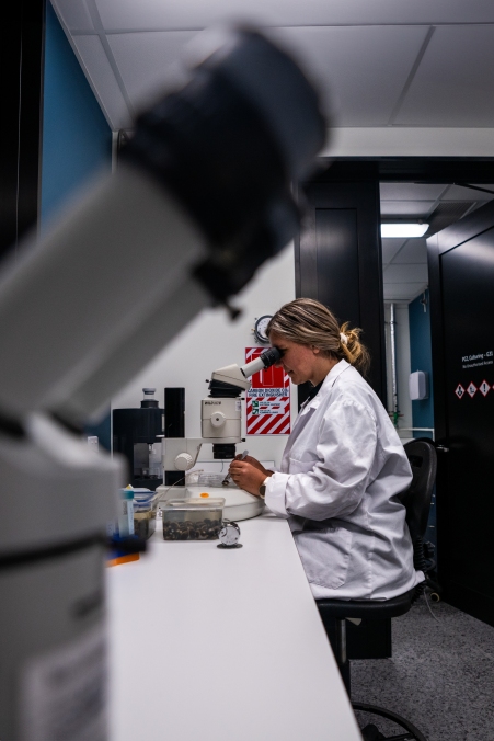  NIWA Freshwater ecologist Dr Michele Melchior in the Hamilton Lab dissecting clams to assess their reproductive ecology. 