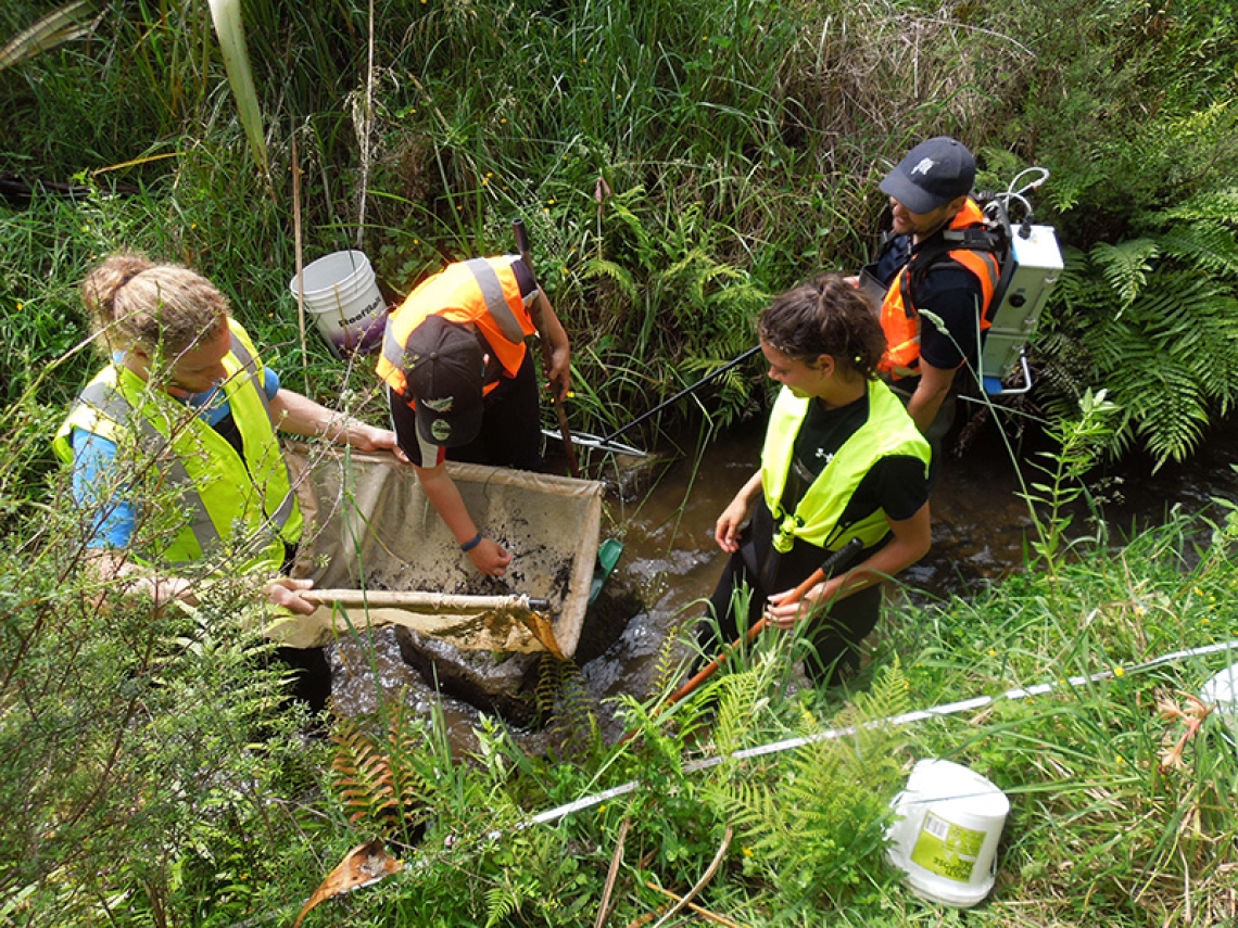  Students electric fishing a Waikato tributary looking for kōura.