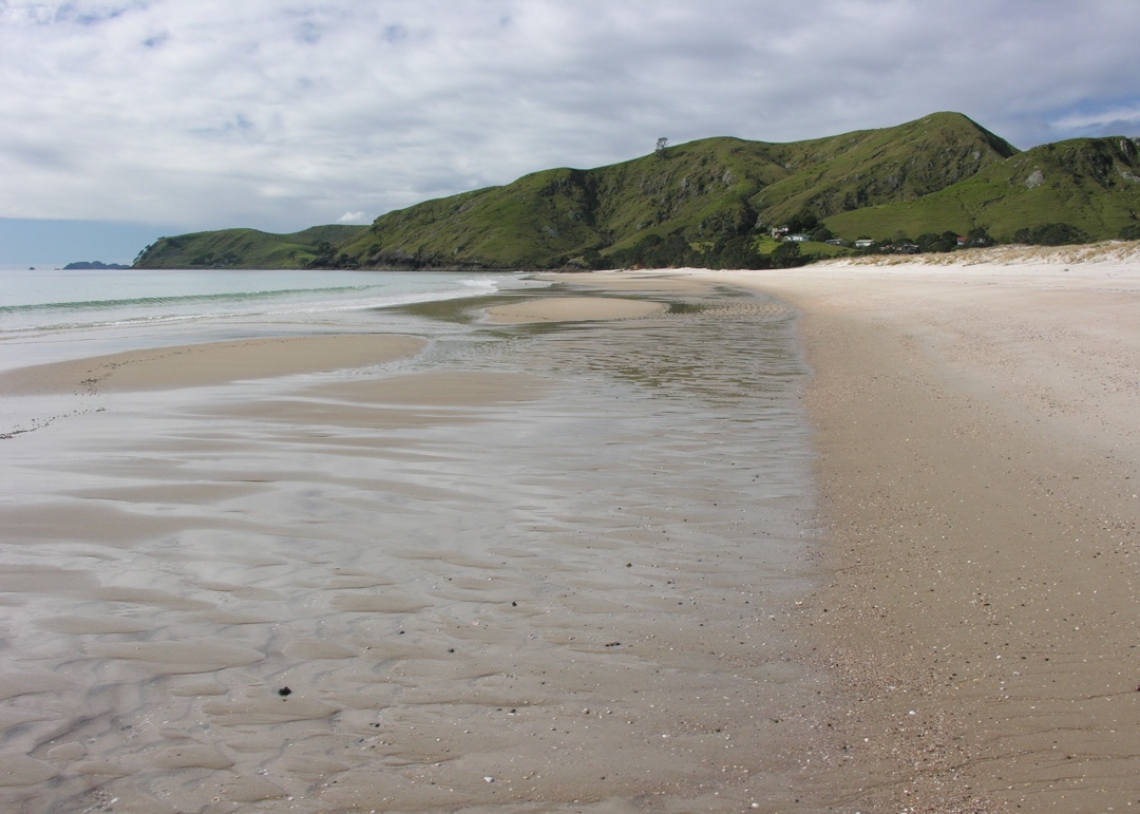 New Zealand beach