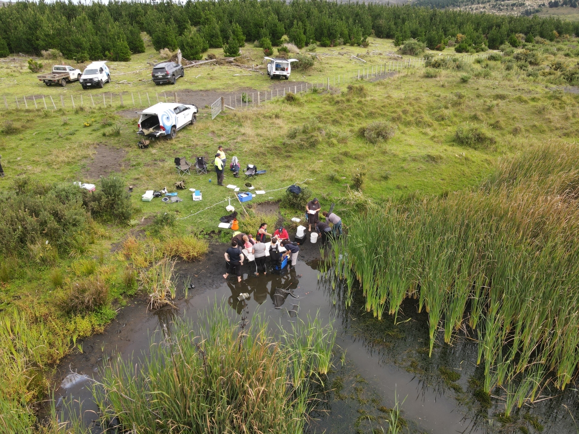 Drone footage 1 - Keith Kana.jpg