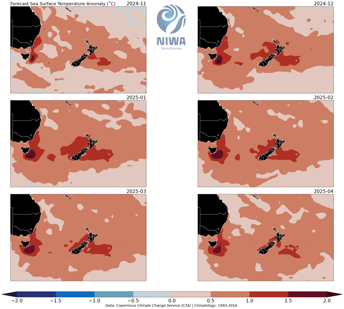 Sea surface temperature anomaly maps for November 2024 - April 2025