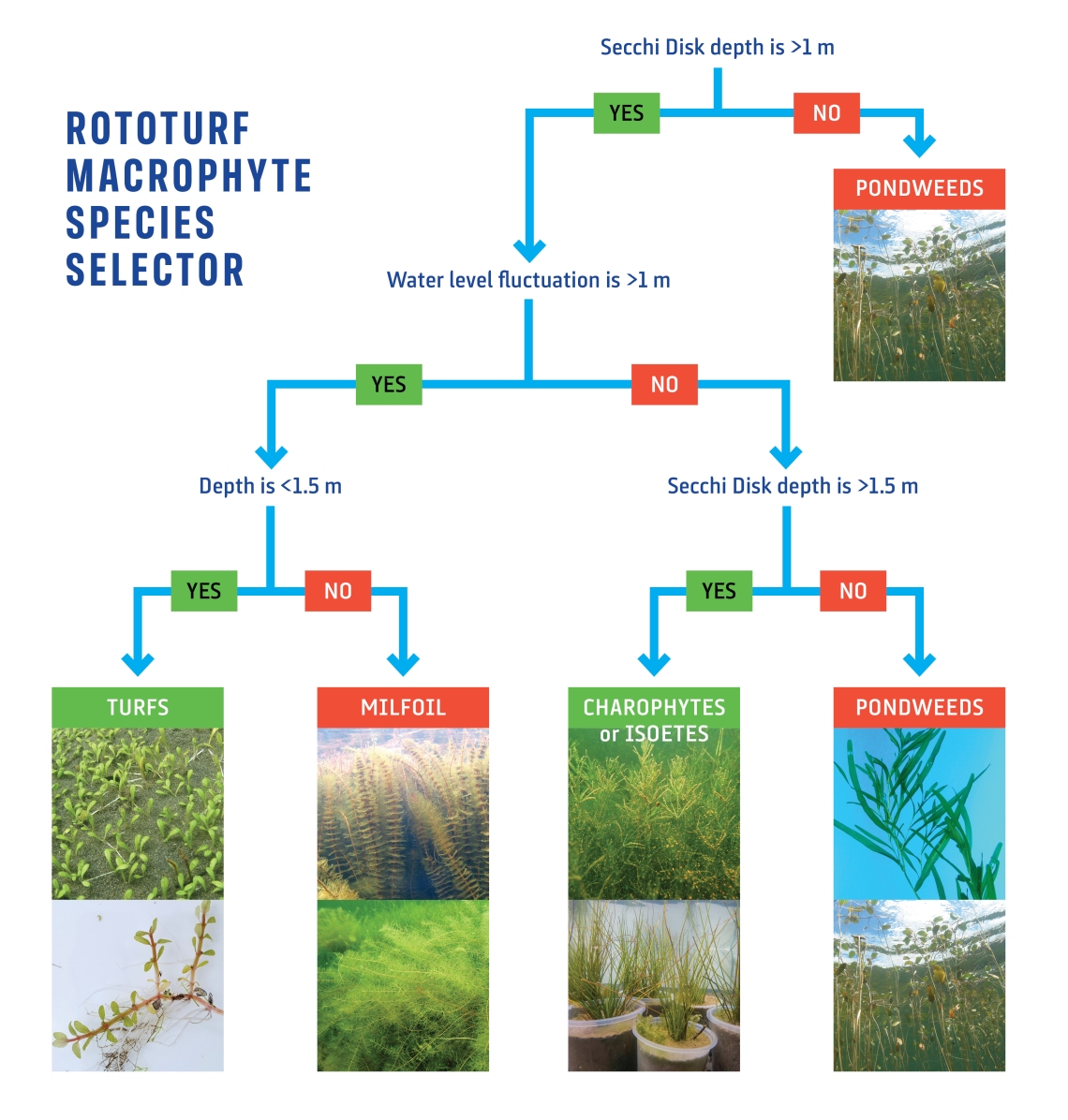 RotoTurf macrophyte species selector tool