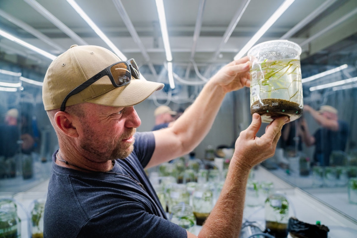 Biogeochemist, Ben Woodward, with a Potamogeton ochreatus experimental flask.