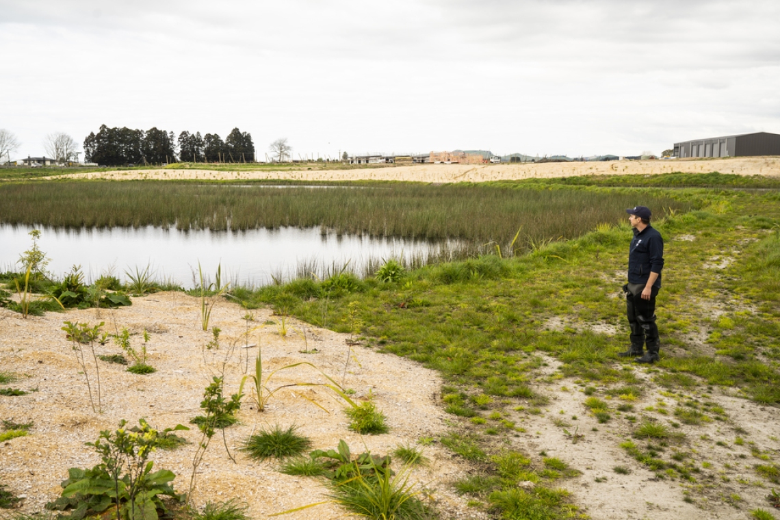 Dr Brandon Goeller, Riparian and Wetland Scientist.