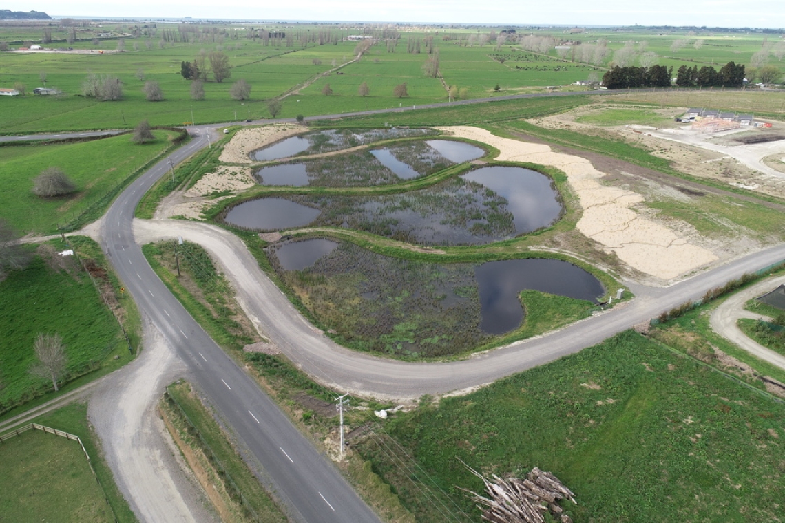 Baygold's Te Rere I Maniatutu constructed wetland in Bay of Plenty's Waihi Estuary catchment