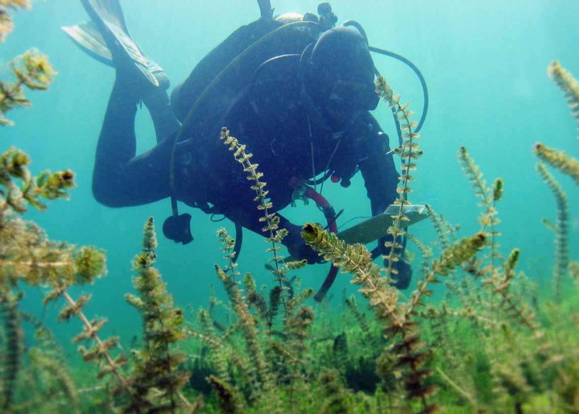 NIWA diver Aleki Taumoepeau in Lake Waikaremoana.