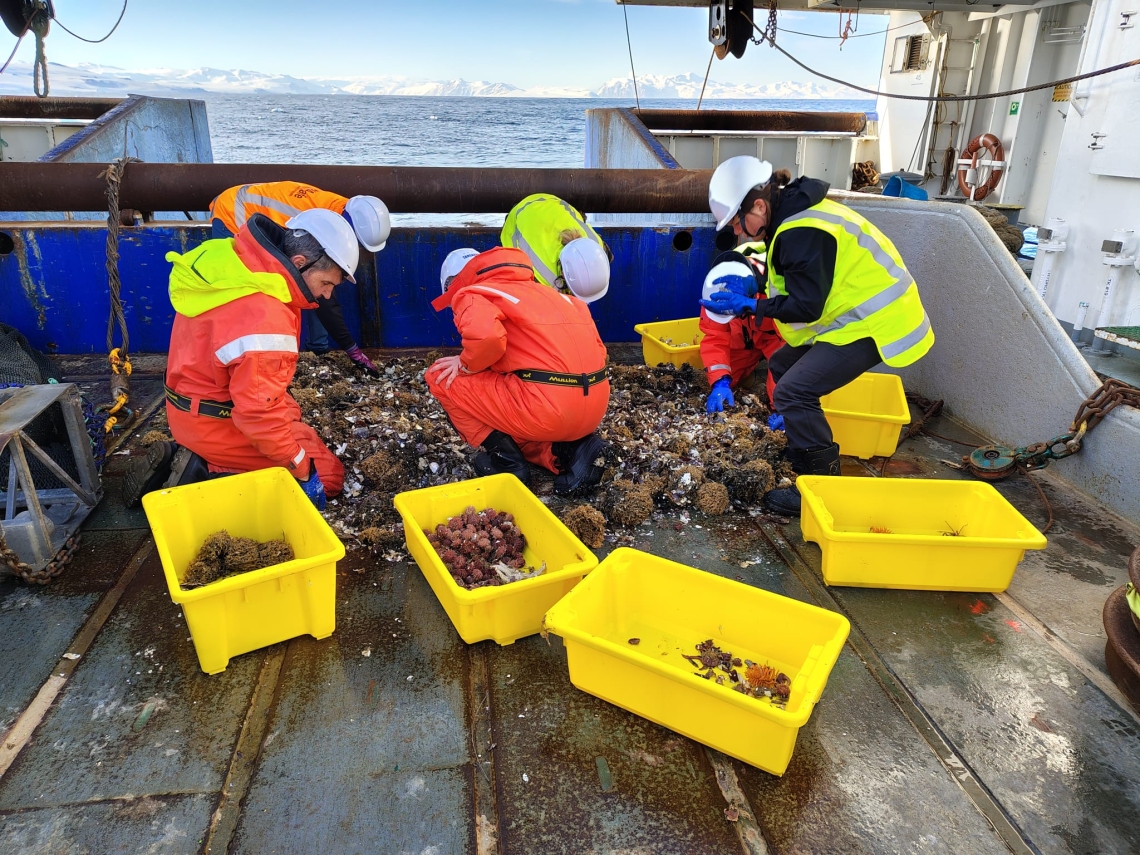 Benthic team examine the latest specimens 