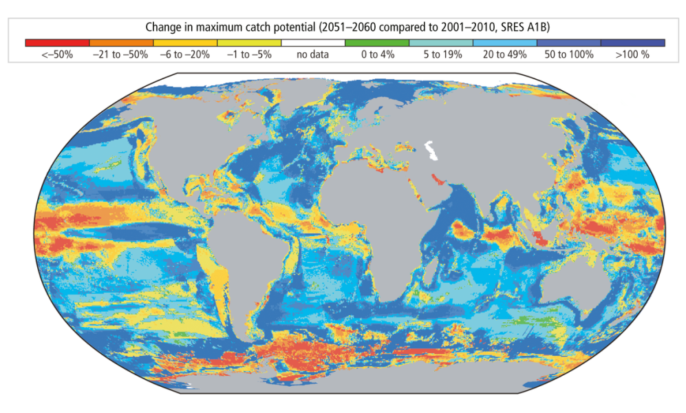 Infographic: Projected redistribution of maximum potential fisheries catch with a 2°C increase in global average temperature