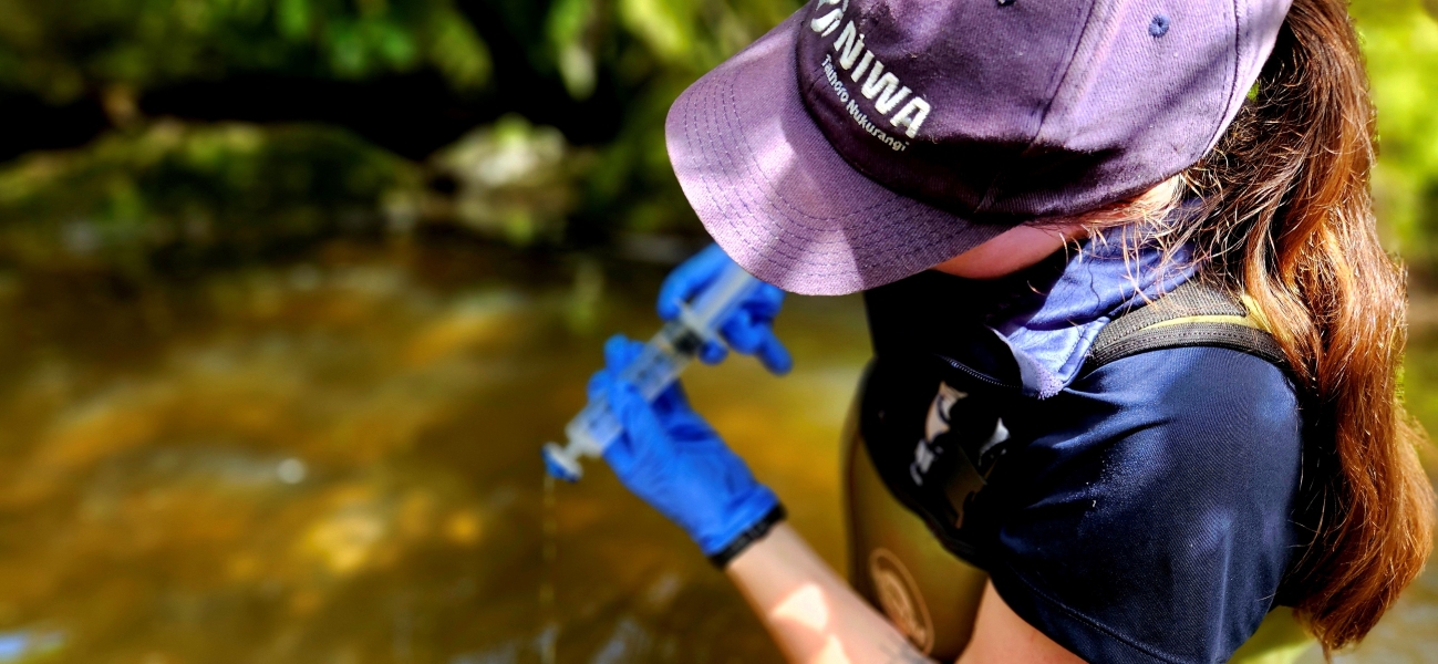 Rebecca Booth, NIWA Freshwater Ecology Technician, conducting eDNA sampling in a West Coast stream.