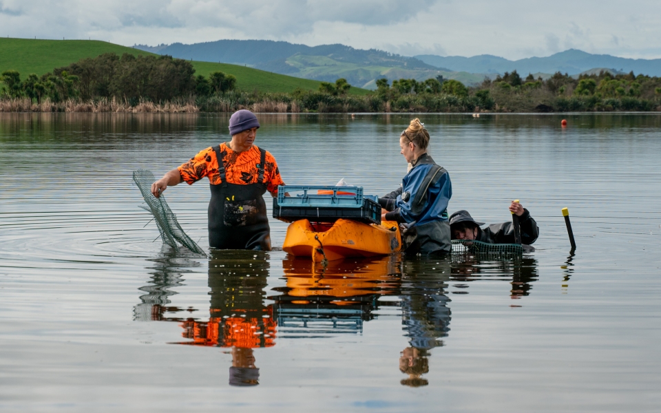 Lake Ohinewai Rototurf