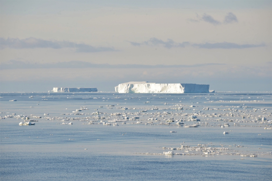 Antarctica sea ice and icebergs