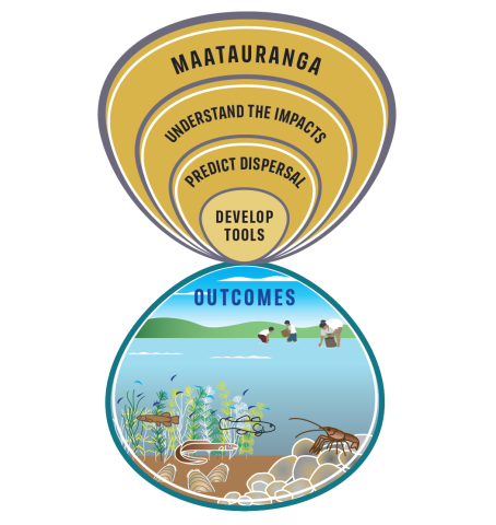 gold_clam_strategies_figure.