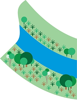 Vector illustration of river bank with wetlands on both sides depicting "nature-based solution" for flooding