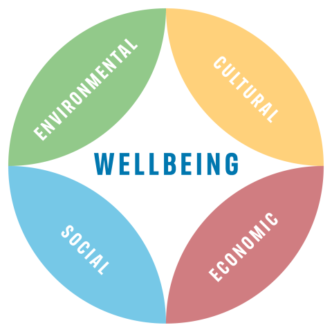 Wellbeing circular graphic showing four components of community wellbeing i.e. Environmental, cultural, social, and economic.