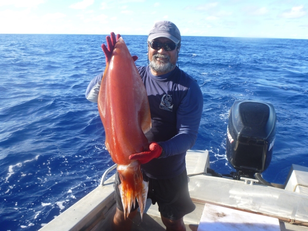 SPC master fisher William Sokimi with a diamondback squid [MoF].