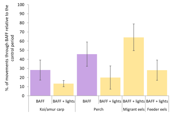 Percentage of movements through the BAFF relative to the control period (i.e. reduction in movements) for koi/amur carp, perch and eels. 