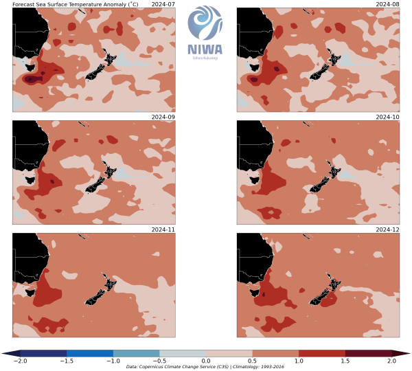 NZ Sea Surface Temperature - July - Decemeber 2024