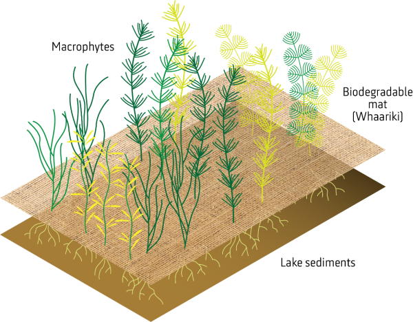 RotoTurf graphic.png