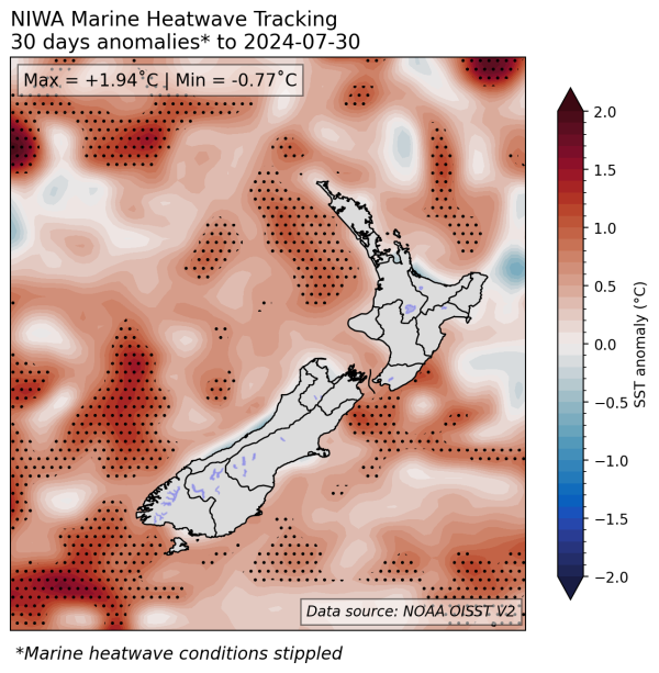 SCO-marine-heatwave-August-2024.png