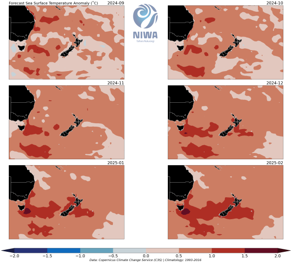 nz_sst_panel.png