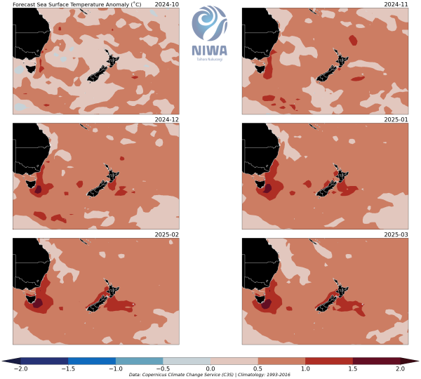 nz_sst_panel - October 2024