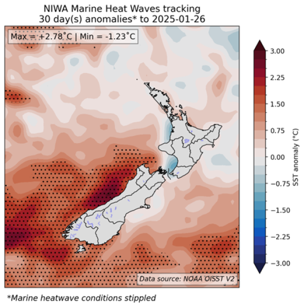 Daily-SST-anomalies-Feb-April-2025