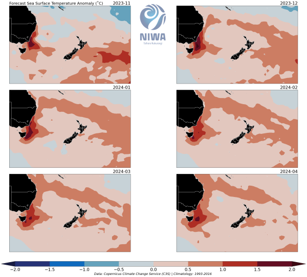 Forecast sea surface temperature anomaly maps 