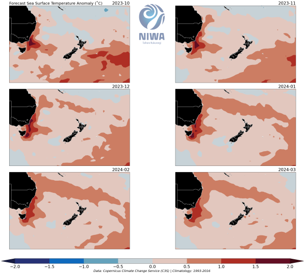 Forecast maps of sea surface temperature anomaly for New Zealand.