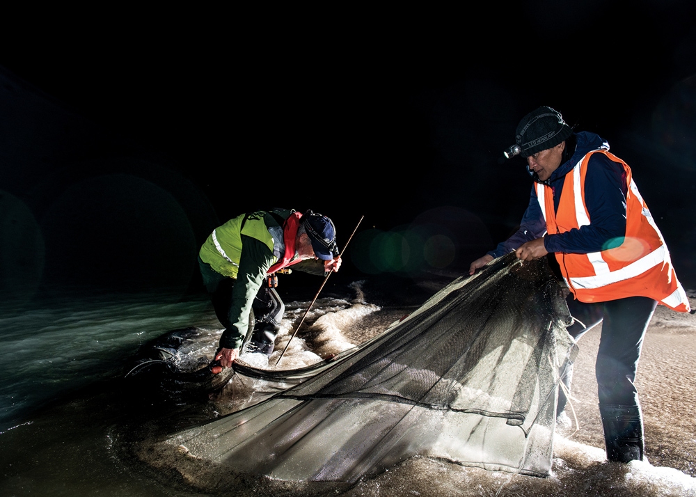 2019 10 GLASS EELS Parsons King 0376 Web