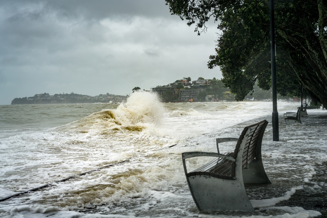 Tamaki Drive, Auckland